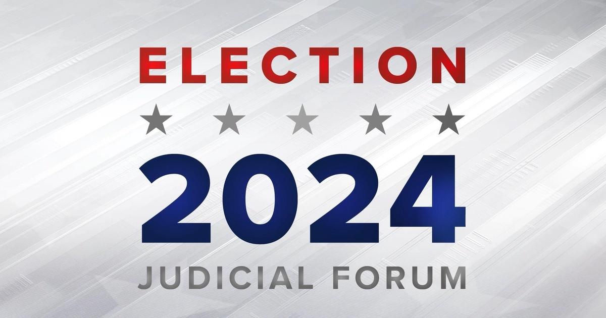 Election Preview 2024 NC Court of Appeals Seats 12 & 14 Candidates