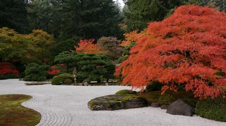 Video thumbnail: Oregon Field Guide Japanese Garden Photo Essay