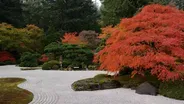 Japanese Garden Photo Essay