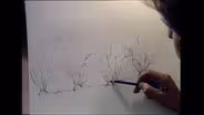Drawing from Nature: with Jim Arnosky: #3 Drawing Plants