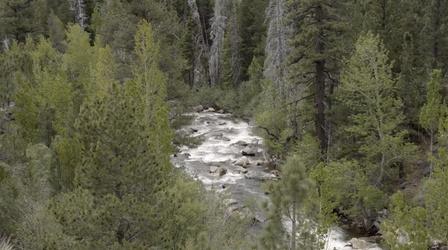 Video thumbnail: Tending Nature Managing Groundwater with the Paiute Preview