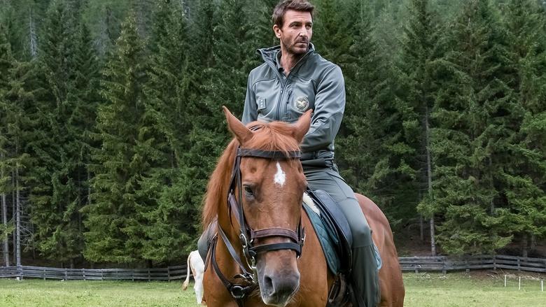 One Step From Heaven Image