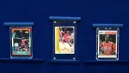 Appraisal: Michael Jordan Basketball Cards & Sticker