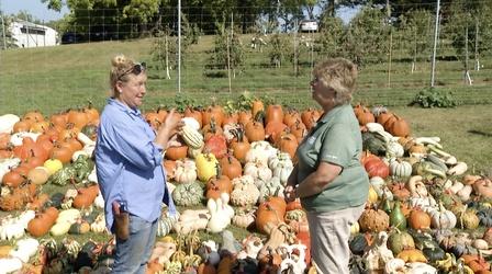 Video thumbnail: Prairie Yard & Garden The Fall Harvest