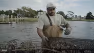 Against the Current: Life on the Eastern Shore | Oysters
