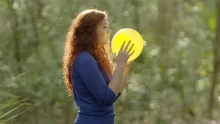 The Adaptive Quality of Our Senses