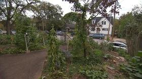 Video thumbnail: Volunteer Gardener Volunteer Gardener 2809