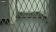 RIKERS, “ROSIE’S”, & RAPE