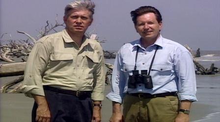 Video thumbnail: NatureScene Cape Romain National Wildlife Refuge (1995)