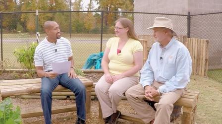 Video thumbnail: The Family Plot Liming the Lawn & Creating a Compost Pile