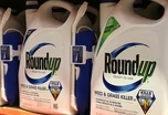 The health concerns as Supreme Court hears Roundup case