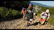 Race the Cog | Quiet the Mind