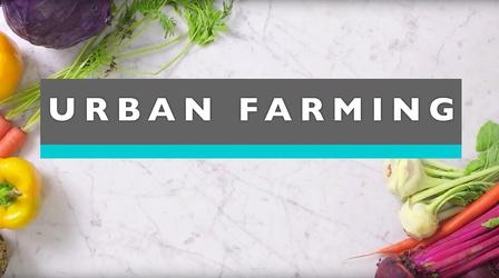 Video thumbnail: Feast TV Urban Farming