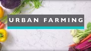 Urban Farming