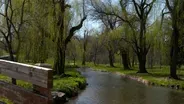 Your Health Checkup: Spring Cleaning Your Mind