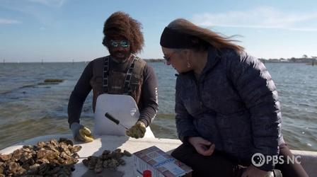 Video thumbnail: The Key Ingredient Oysters: From the Sea to Your Table