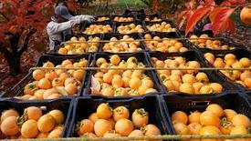 Episode 5: asset-mezzanine-16x9