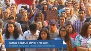 Delays in DACA Renewals Leave Some Recipients at Risk for Deportation