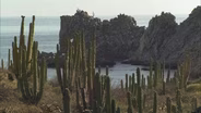 Marine Sanctuary: Preserving Desert Life
