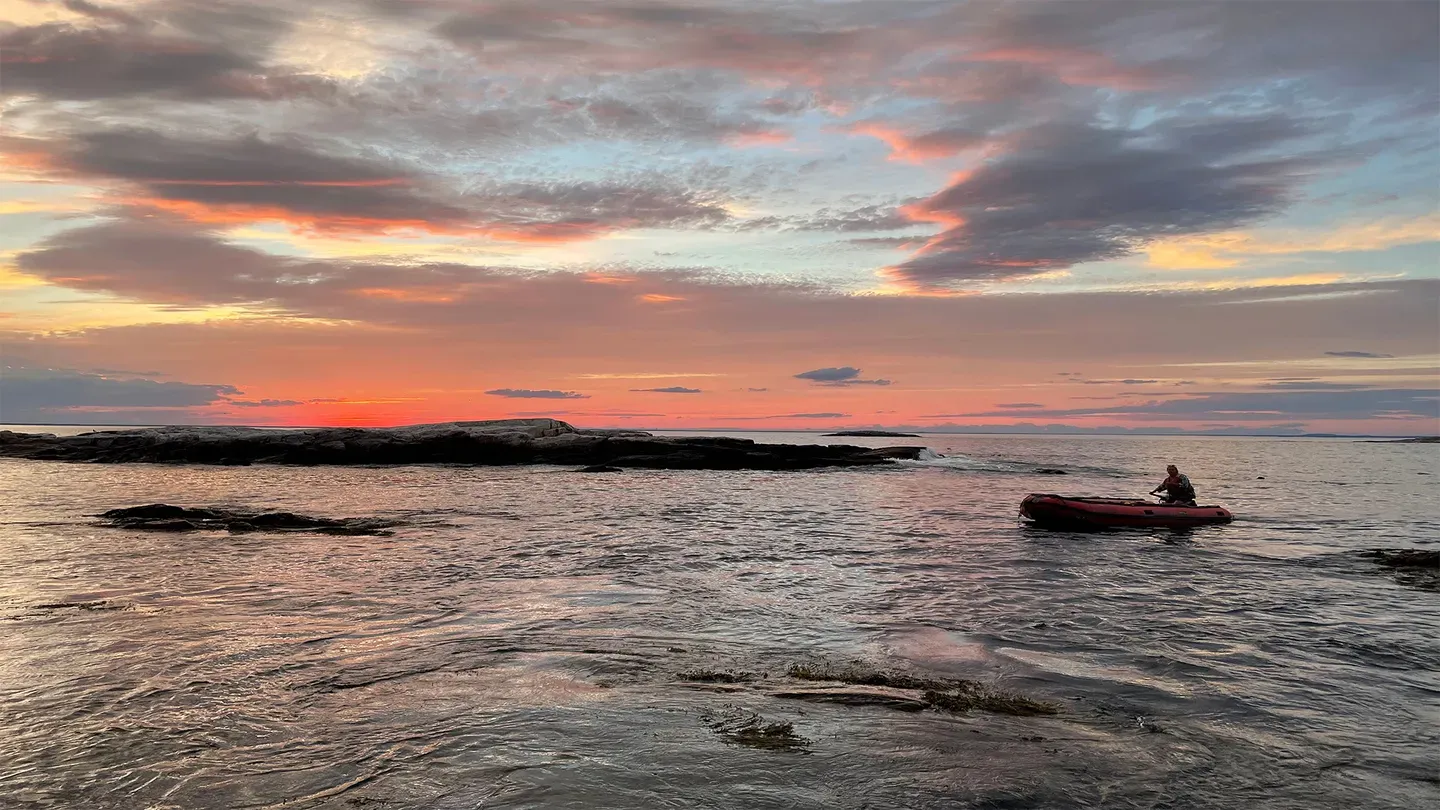 Sea Change: Survival in the Gulf of Maine