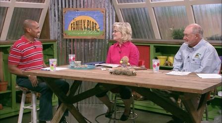 Video thumbnail: The Family Plot Garden Crafts for Kids & Safety in the Garden
