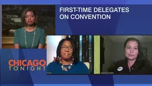How New Delegates are Celebrating the Virtual DNC