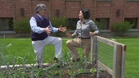 Video thumbnail: Chicago Tonight How to Make Your Garden Productive All Year Long