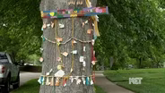 Lexington's Tree of Love