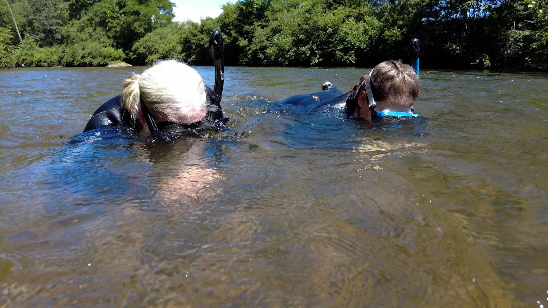 Two people snorkeling in a river.