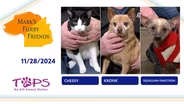 11/28/2024 | Chessy, Kronk and Squilliam Fancyson | Mark's Furry Friends