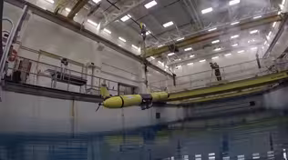 Underwater Drones; Birds; Asteroids & Girl Coders