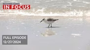 Southwest Florida In Focus | Episode 116 | Dec. 27 2024