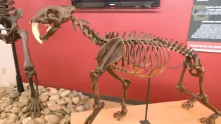 Northstate Profile - Gateway Science Museum