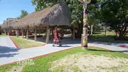 Discover the History & Culture of the Miccosukee Village
