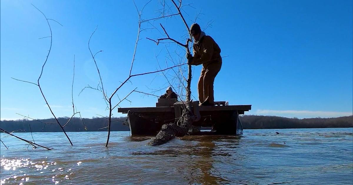 Kentucky Afield Falcon Rabbit Hunt; Lake Barkley Project; Squirrel