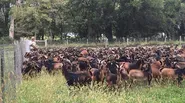 The G.O.A.T. Mission and More