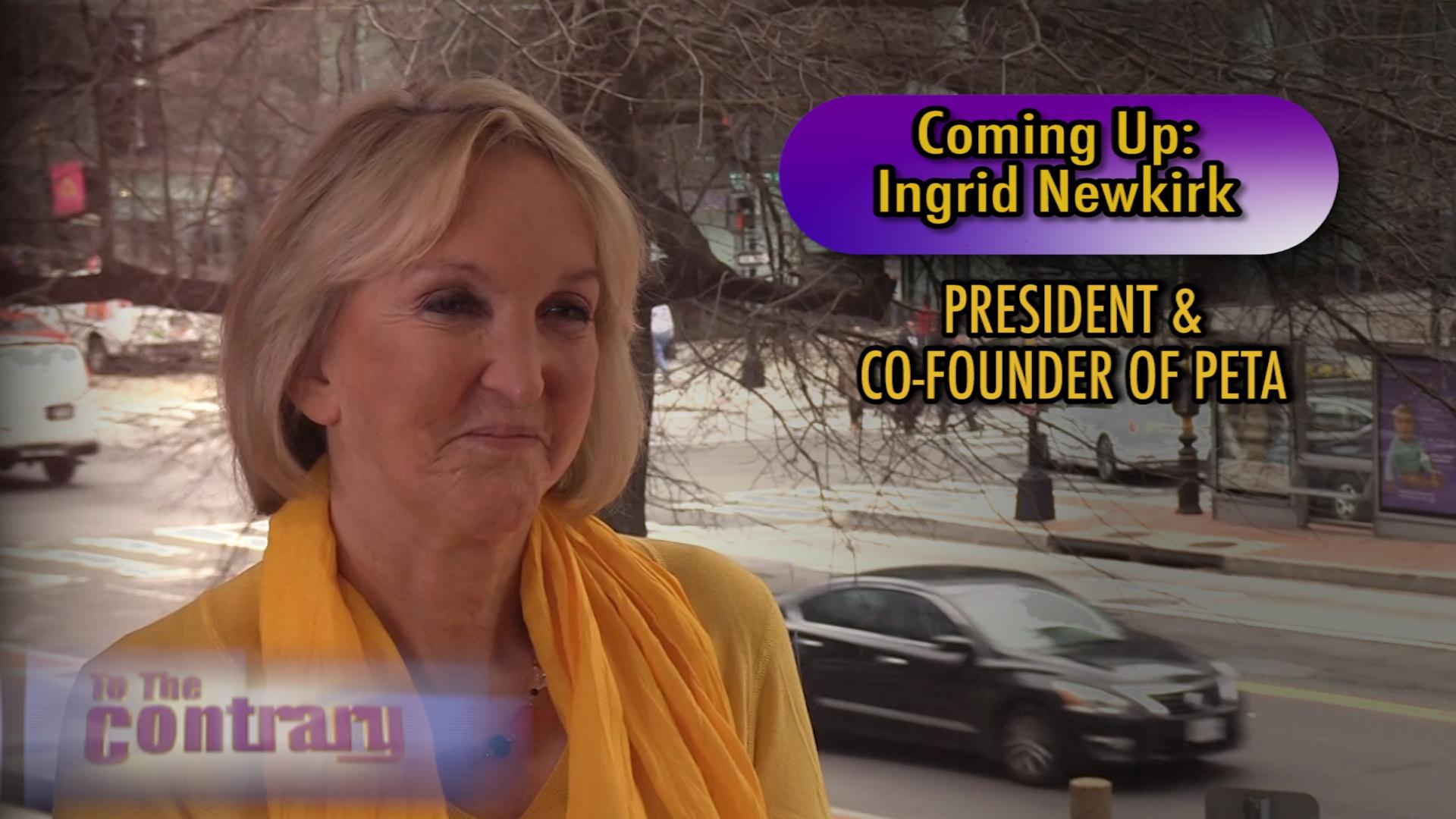 To The Contrary Woman Thought Leader Ingrid Newkirk Season 28