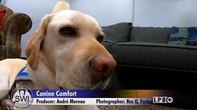 Video thumbnail: Louisiana: The State We're In Insurance Rates, Bloomberg, Canine Companion, Leadership