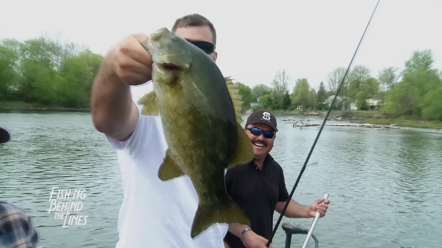 Preview - Best of Bass