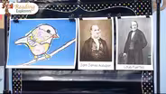 TK-381: John James Audobon & Louis Fuertes