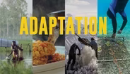 Preview | Adaptation
