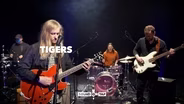 Tigers