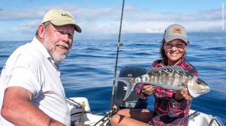 Video thumbnail: Long Story Short with Leslie Wilcox Celebrating Dads