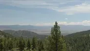Carson City is Wide Open