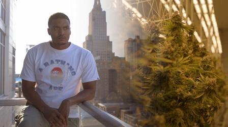 Video thumbnail: Flatland in Focus Marijuana Beneficiaries