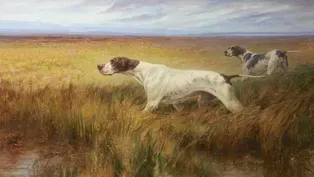 AKC Museum of the Dog Preview