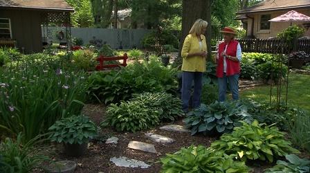 Video thumbnail: Volunteer Gardener Volunteer Gardener 3105