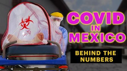 Video thumbnail: NOVA Mexico's COVID Cases and Deaths are Underreported—Why?