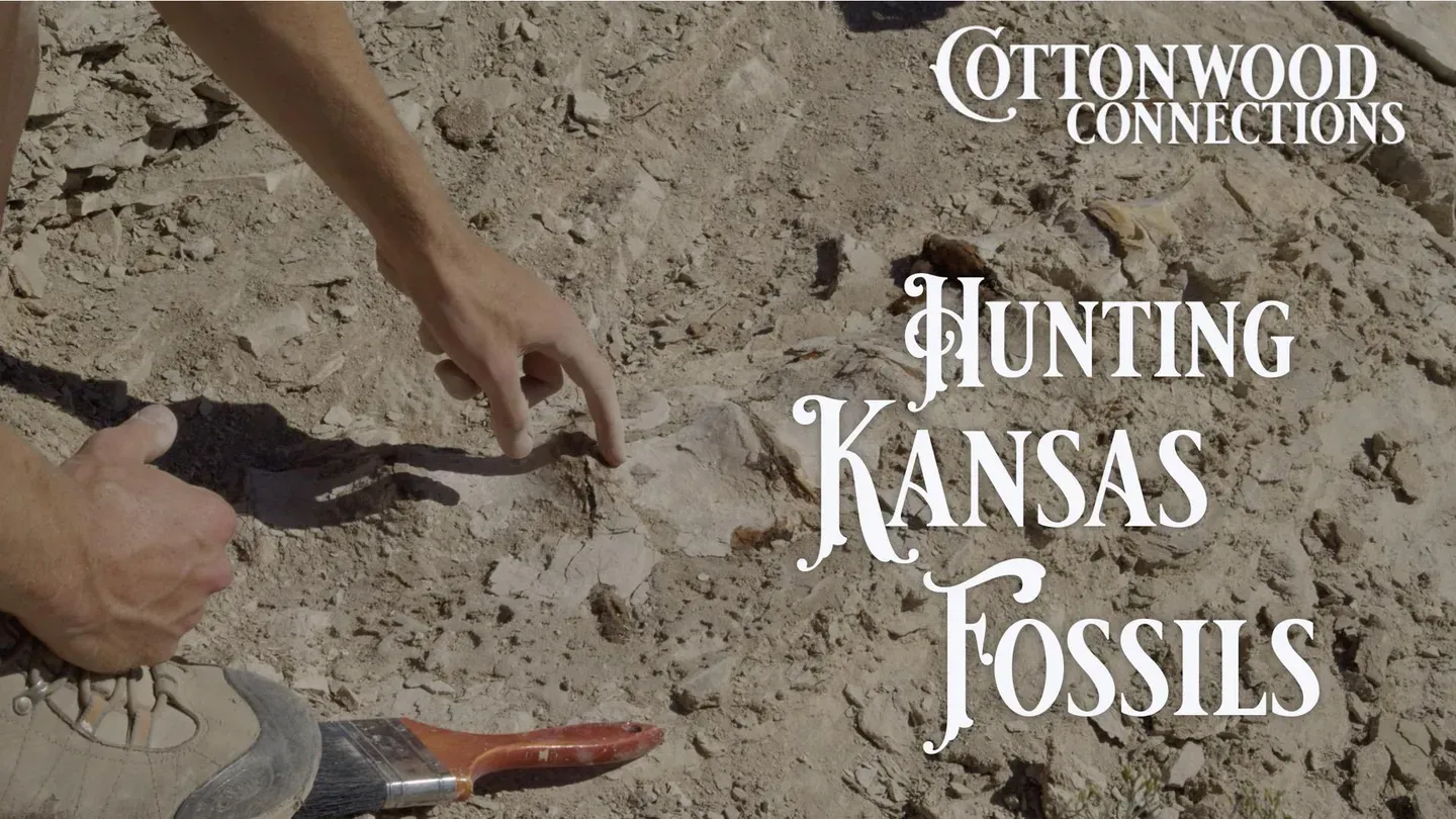 Hunting High Plains Fossils