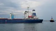 Ukraine resumes grain shipments amid global food shortages